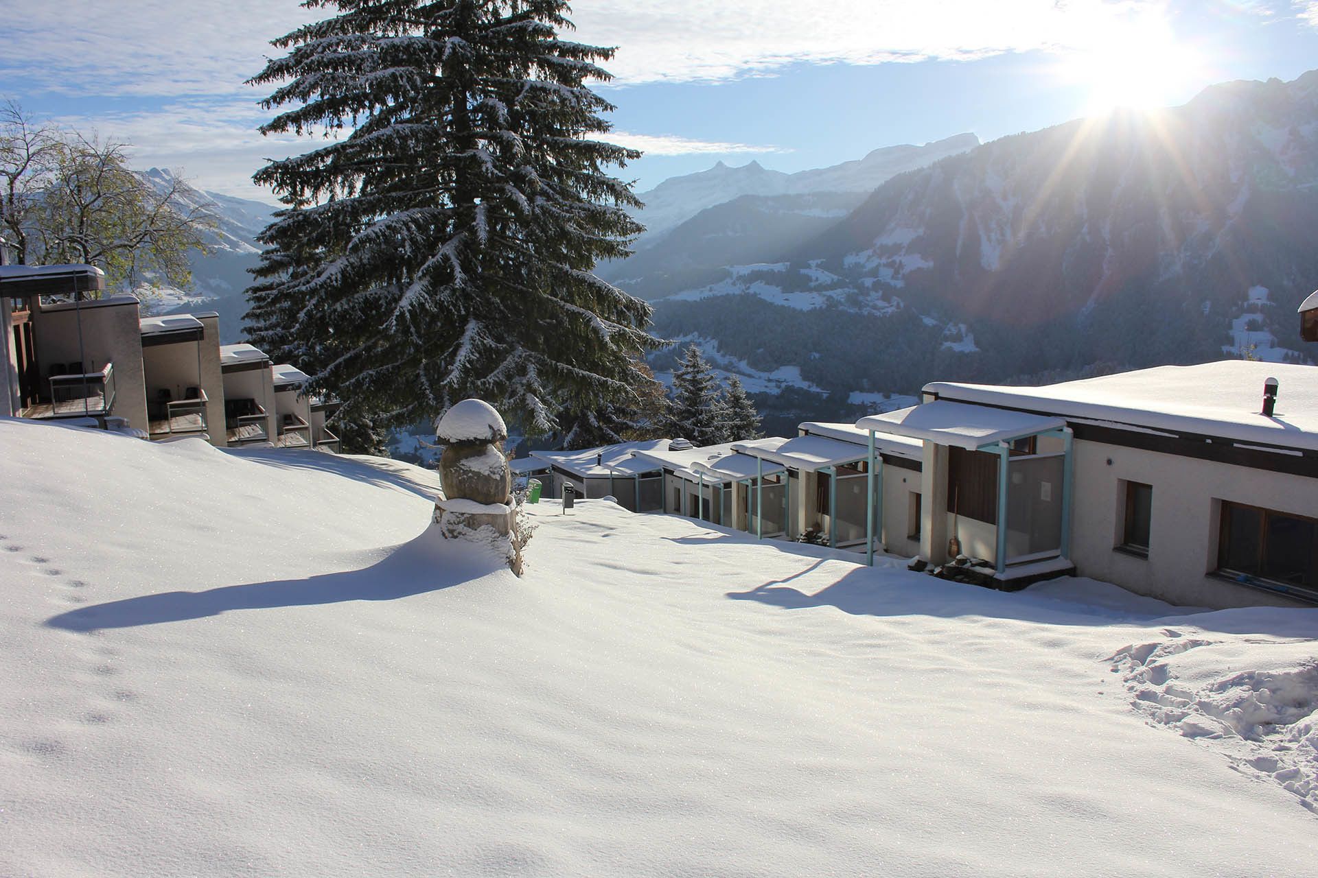 Estância de esqui coberta de neve com chalés e uma grande árvore perene.