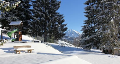 Leysin Lodge