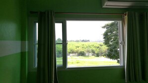 Une pièce dotée d’une grande fenêtre, de murs verts et d’un appareil de climatisation installé au-dessus de la fenêtre.