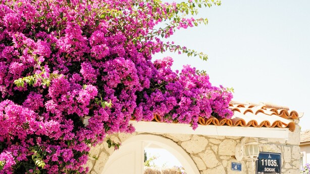 A stone building with a white archway, a sign reading "11035. Sokak", and a pool area visible through the archway. - Alacati Roka Tas Otel (Cesme)