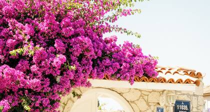 Alacati Roka Tas Otel