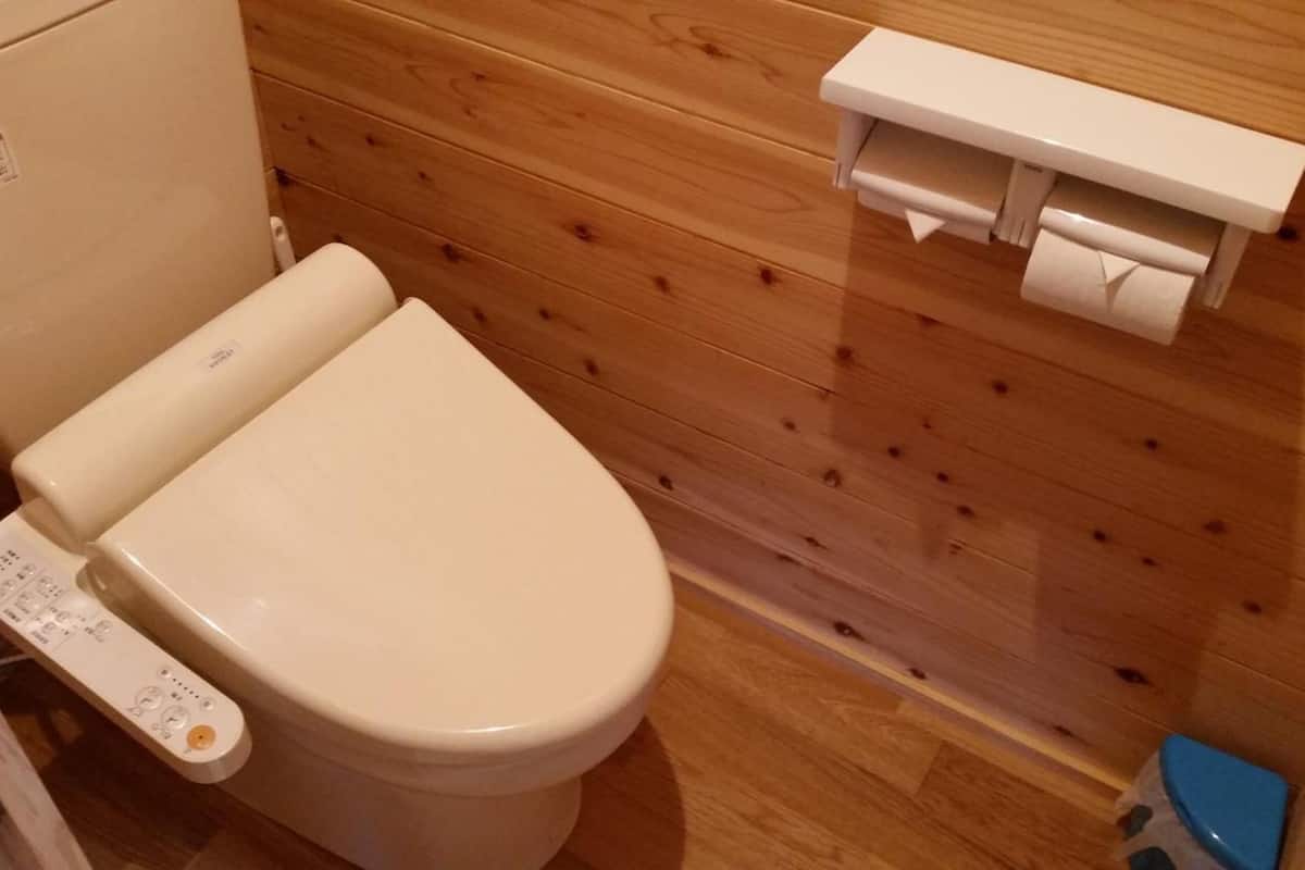 electronic bidet, towels