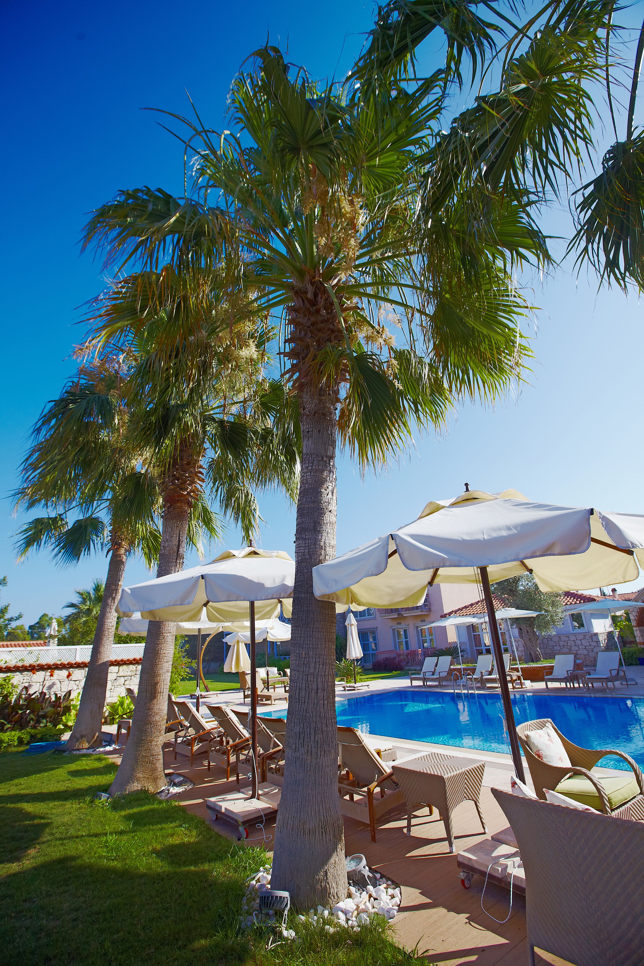 Hồ bơi ngoài trời, dù/ô trên bãi biển/hồ bơi, ghế dài tắm nắng 