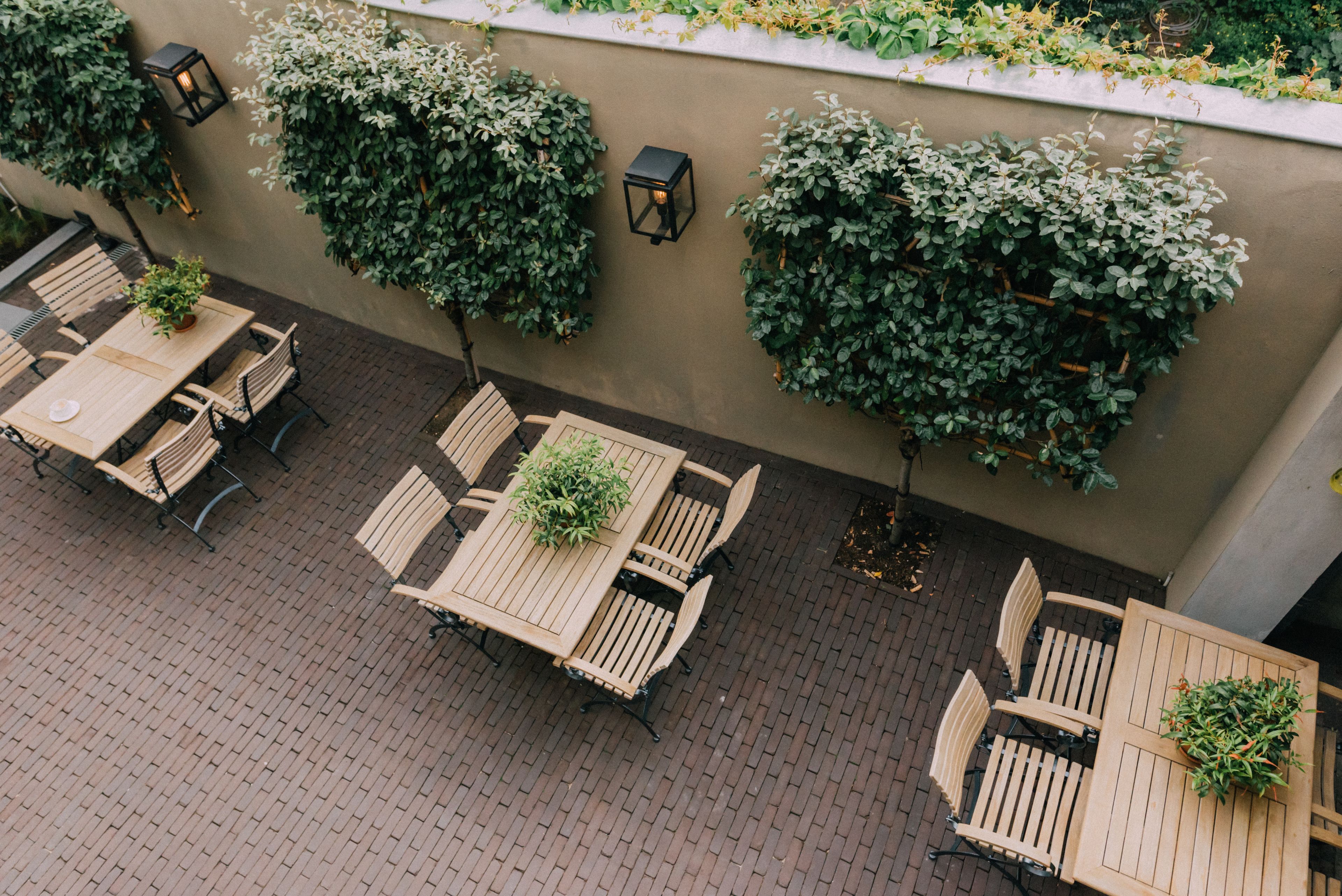 En udendørs patio med træborde og stole, omgivet af frodige grønne planter og slyngplanter på væggene.