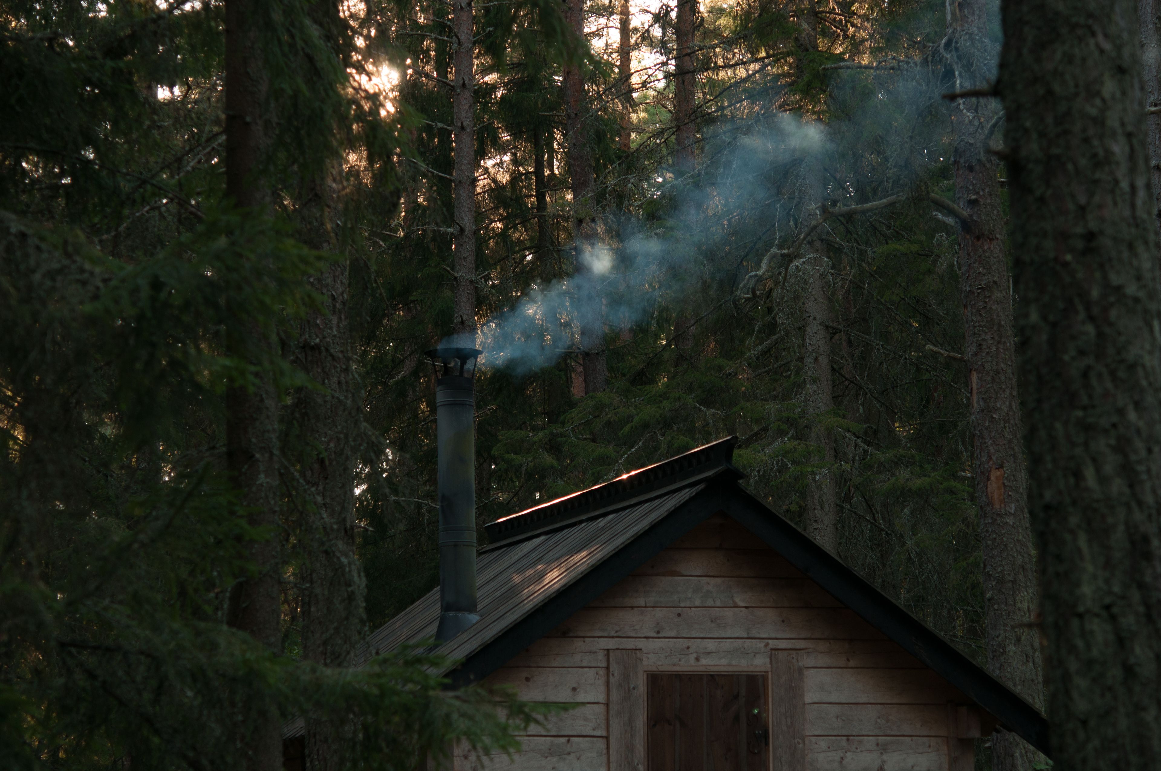 Cabin (Skogskojan) | Trang trí khác biệt, trang bị nội thất với thiết kế riêng biệt 