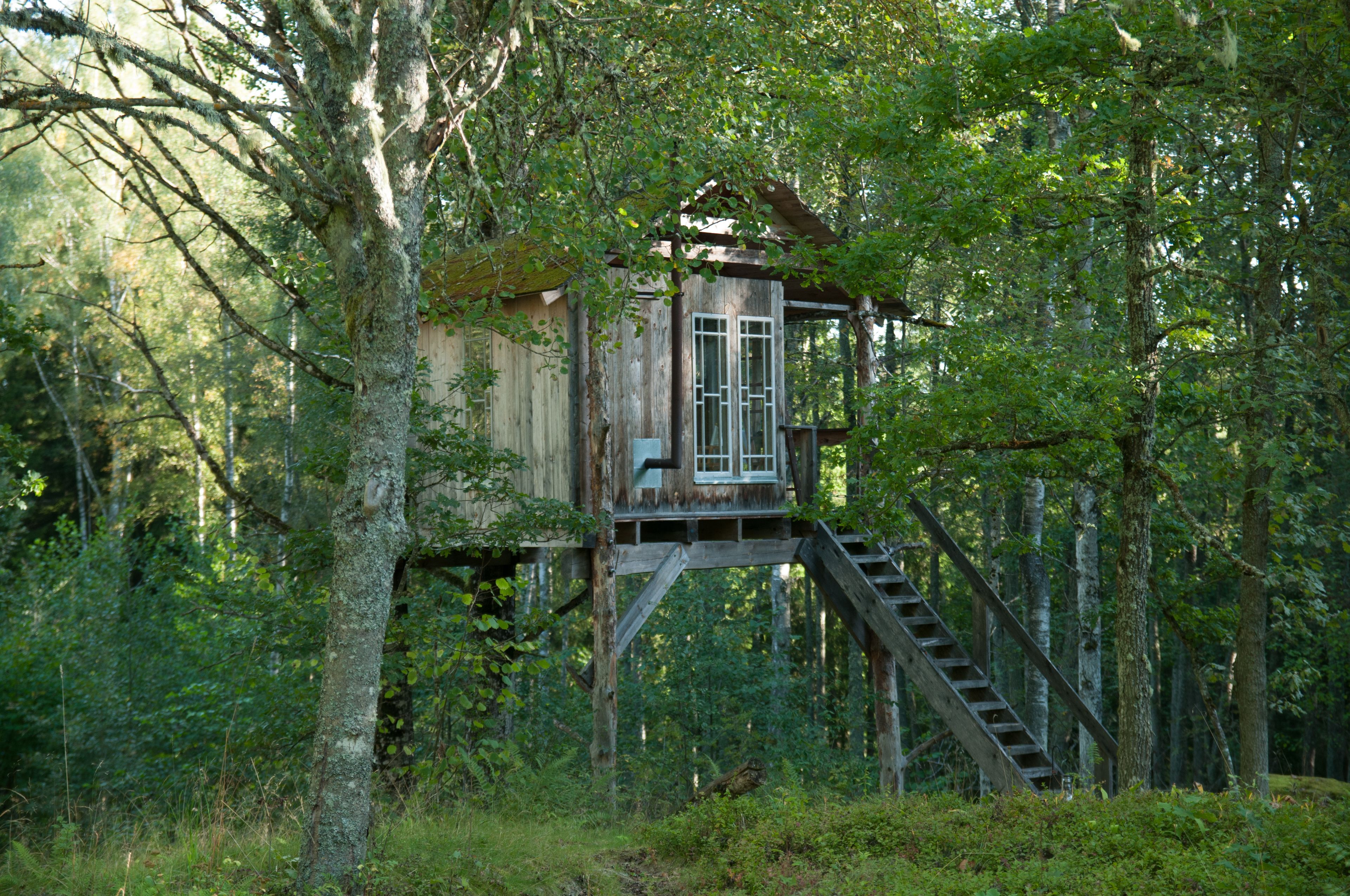 Nhà trên cây (Lilla trädhuset) | Trang trí khác biệt, trang bị nội thất với thiết kế riêng biệt 