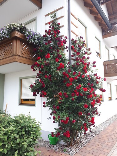 Hotel Garni Hopfengold