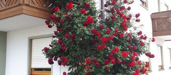 Hotel Garni Hopfengold