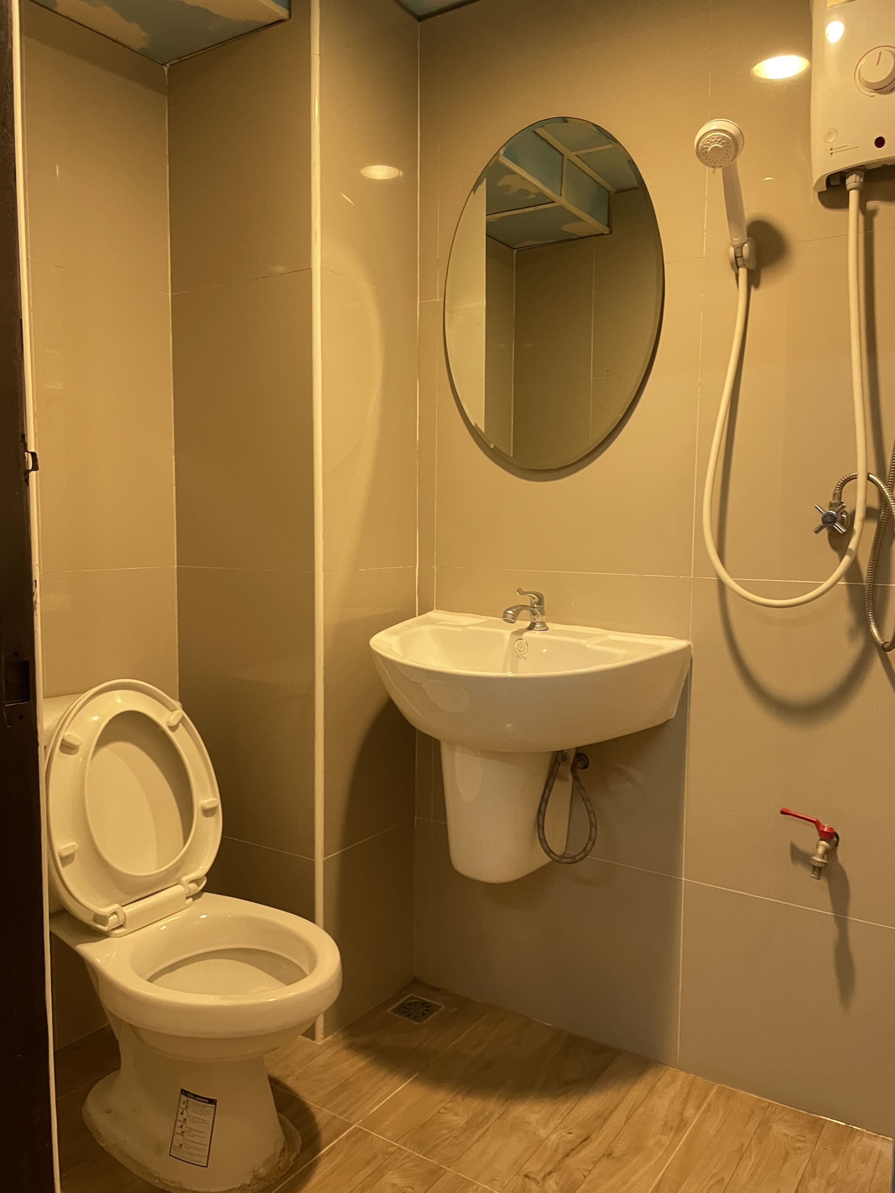 Un baño con inodoro, lavamanos y ducha.
