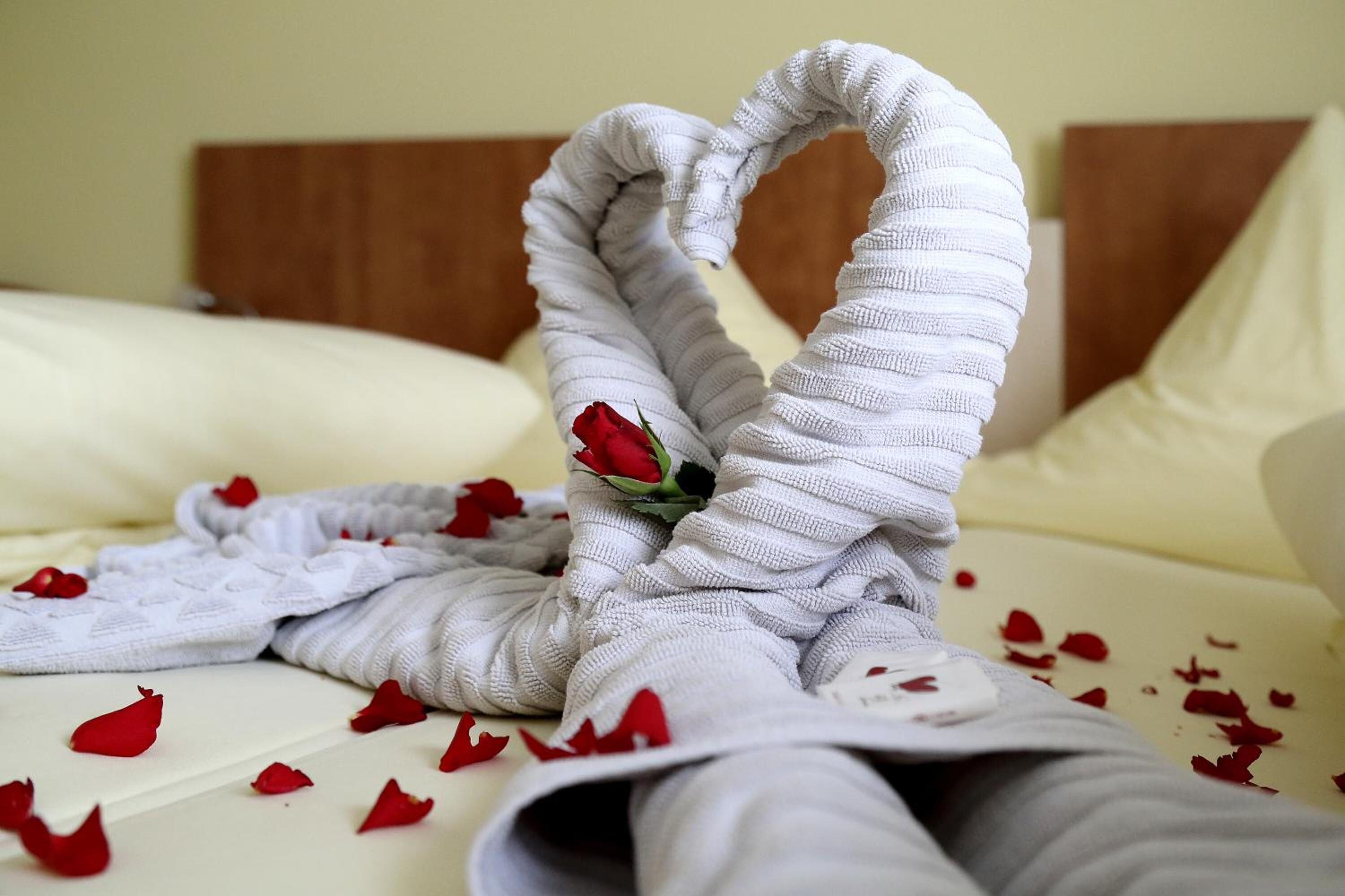 Photo - Hotel Europa - Restaurant