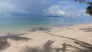 Une plage à l’eau turquoise et limpide, bordée d’un rivage sablonneux et de palmiers.