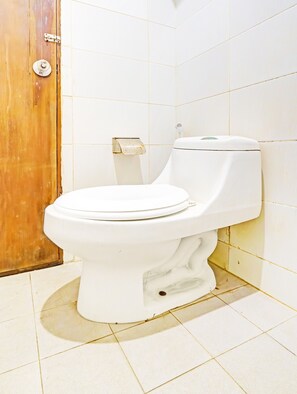 Shower, free toiletries, bidet, towels