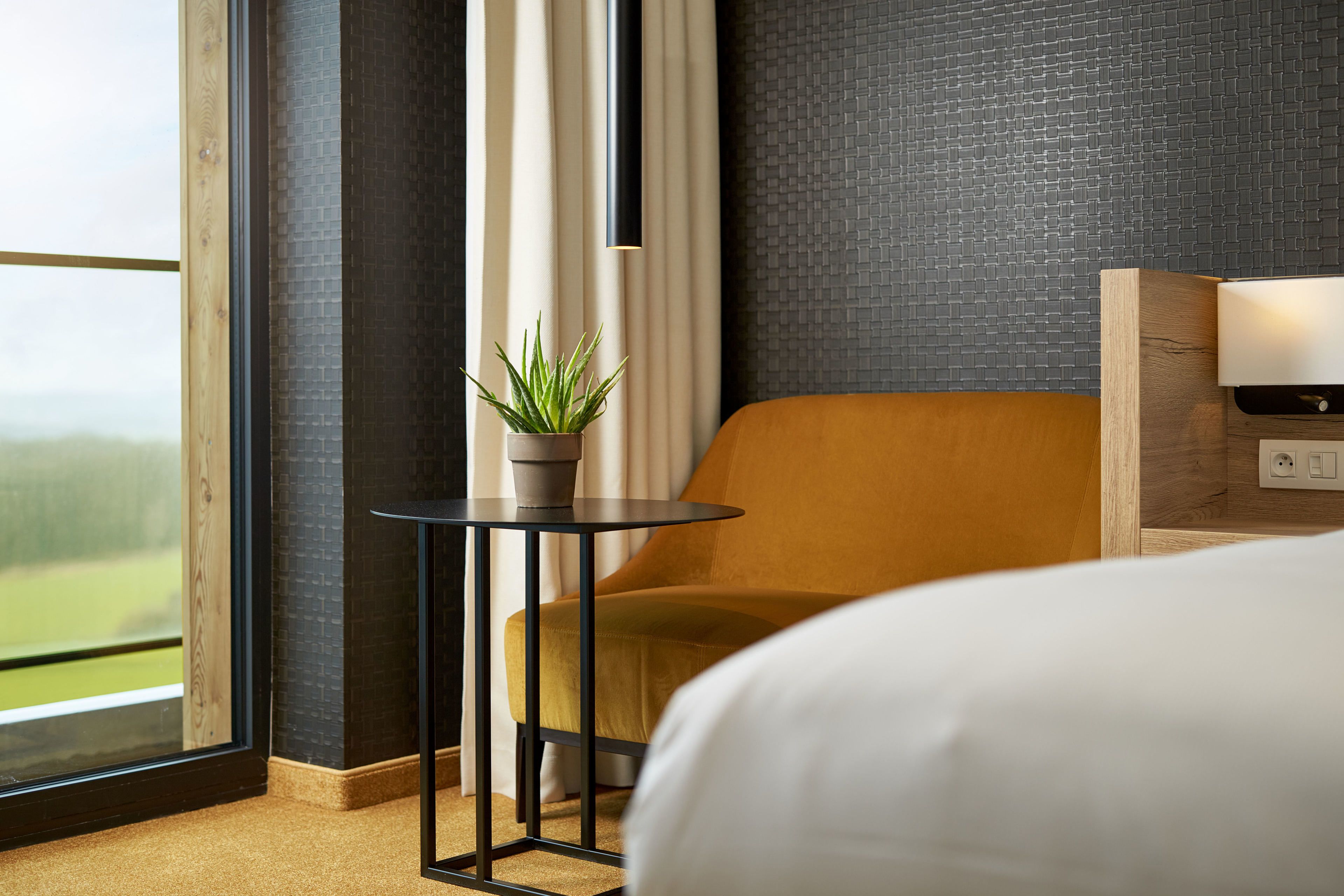 Une chambre d’hôtel avec un lit, une petite table sur laquelle est posée une plante, une chaise et une vue sur l’extérieur.