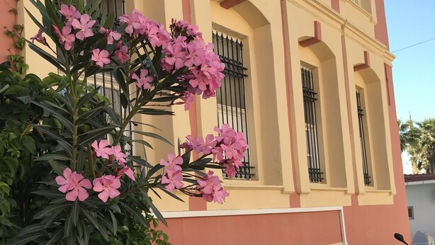 Een gebouw met roze bloemen ervoor, een geruit tafelkleed en een geparkeerde scooter.
