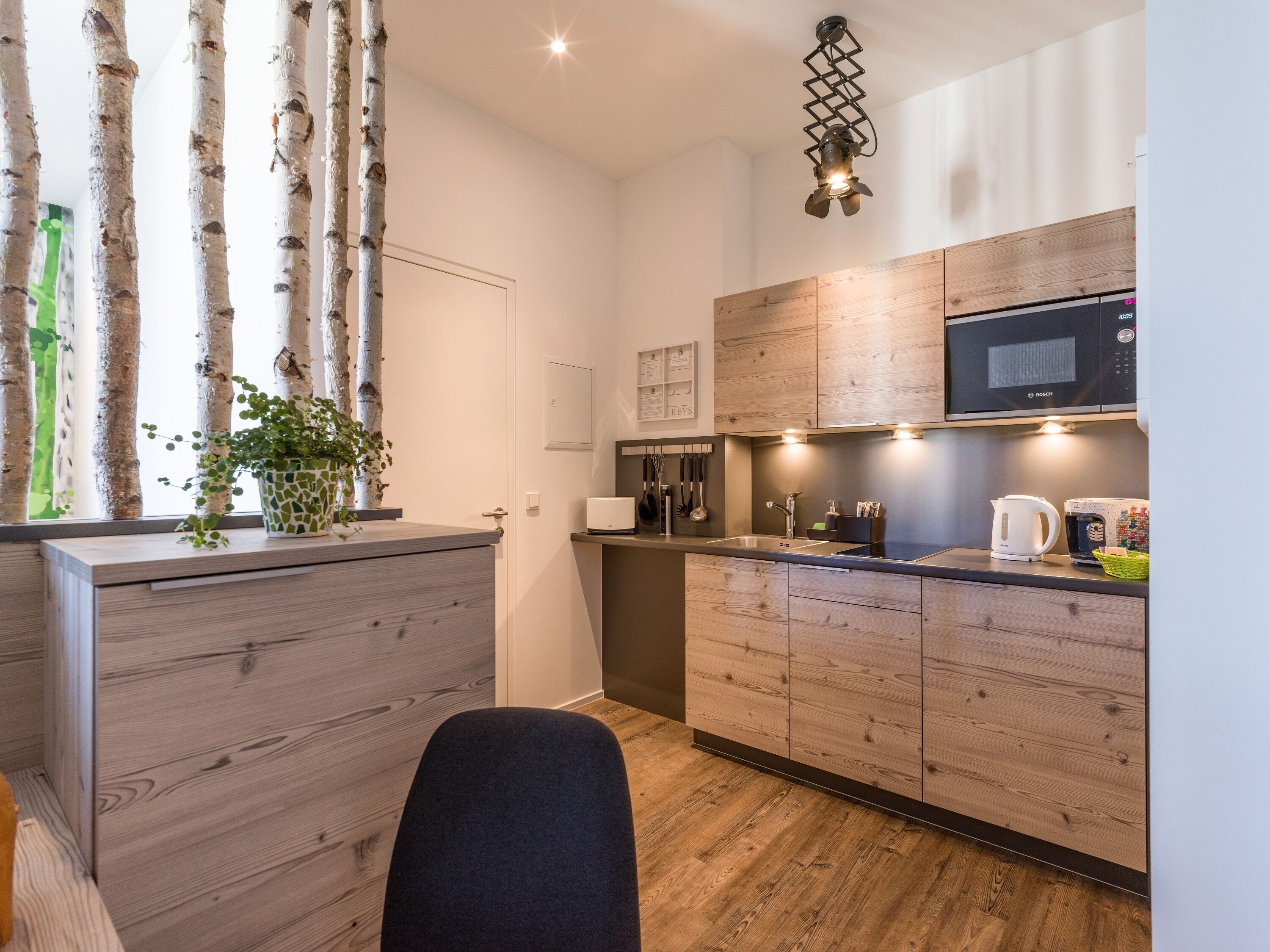 apartment, accessible, non smoking | private kitchen | fridge, microwave, coffee/tea maker, electric kettle