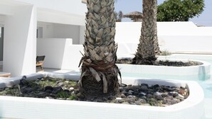 Een zwembadgedeelte met palmbomen en een wit gebouw met balkons.