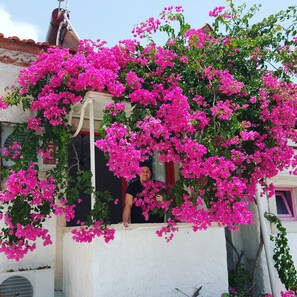 View from property - Narcicegi Alacati (Cesme)