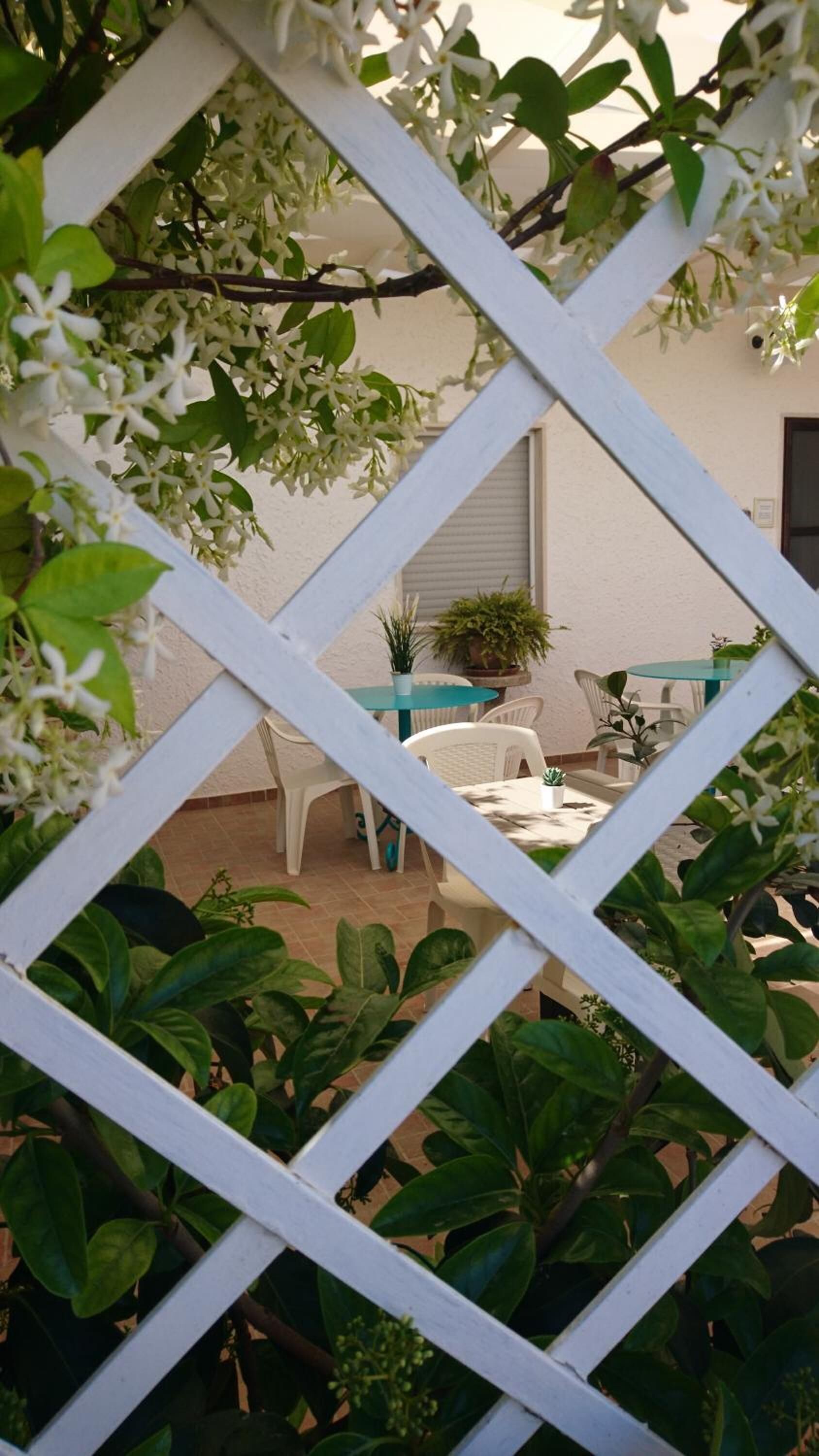 Un espace patio agrémenté d’une clôture en treillis blanche, d’une table ronde et de chaises. On y trouve également des plantes en pot et une petite table avec un plateau en verre.