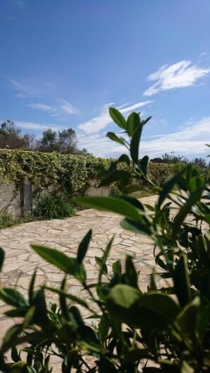 Property grounds - B&B Stella dei Campi (Sternatia)