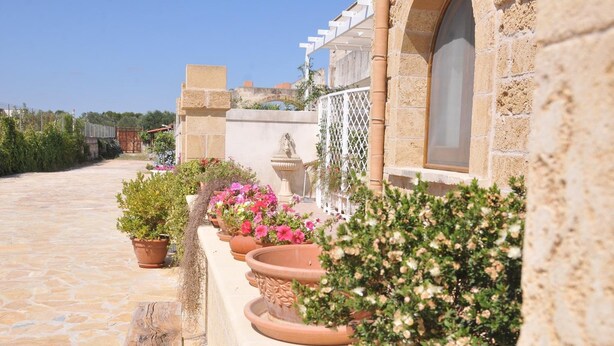 Un sendero de piedra conduce a un edificio con macetas de terracota llenas de flores.