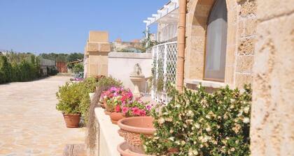 B&B Stella dei Campi