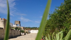 Un camino de piedra que lleva a un edificio de techo plano y un pequeño jardín con plantas en macetas y una flor rosa.