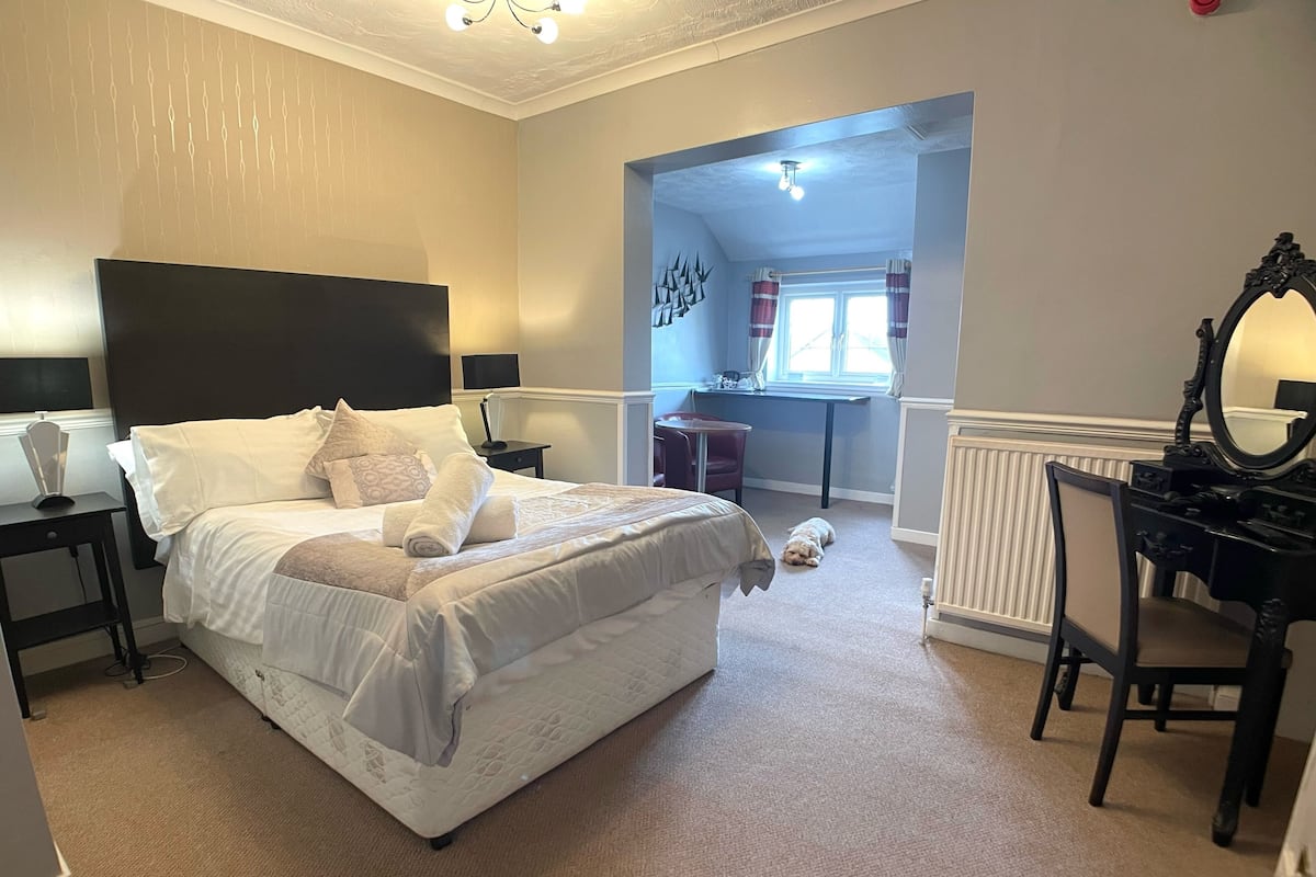 A bedroom with a bed, a desk, a chair, a mirror, and a dog.
