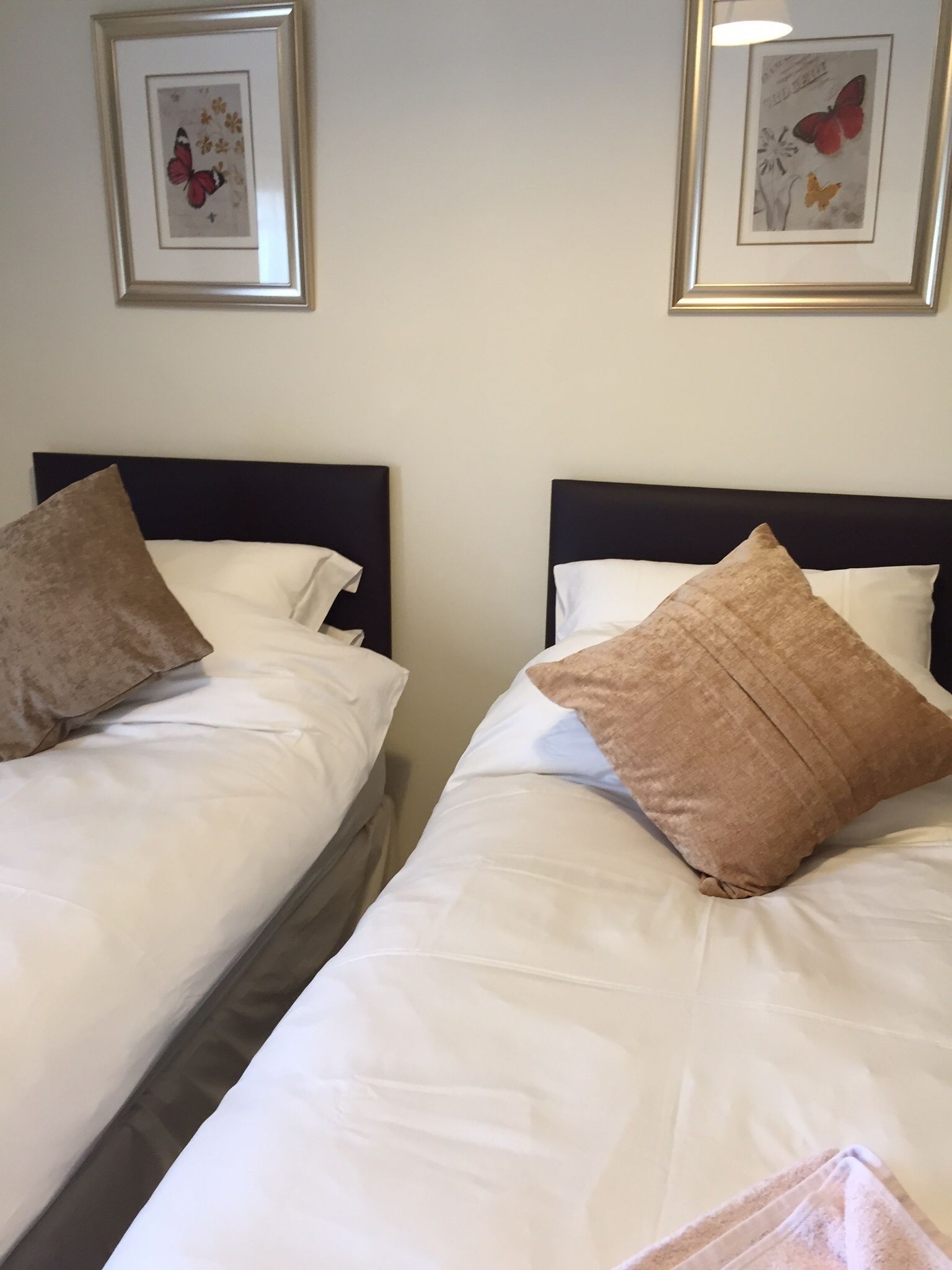 Dos camas individuales con cabeceros oscuros, ropa de cama blanca y almohadas marrones.