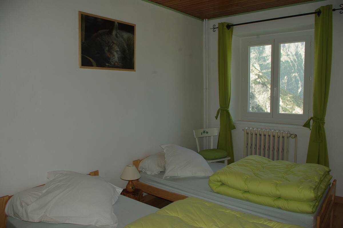 Quadruple Room (Lynx) | Free WiFi