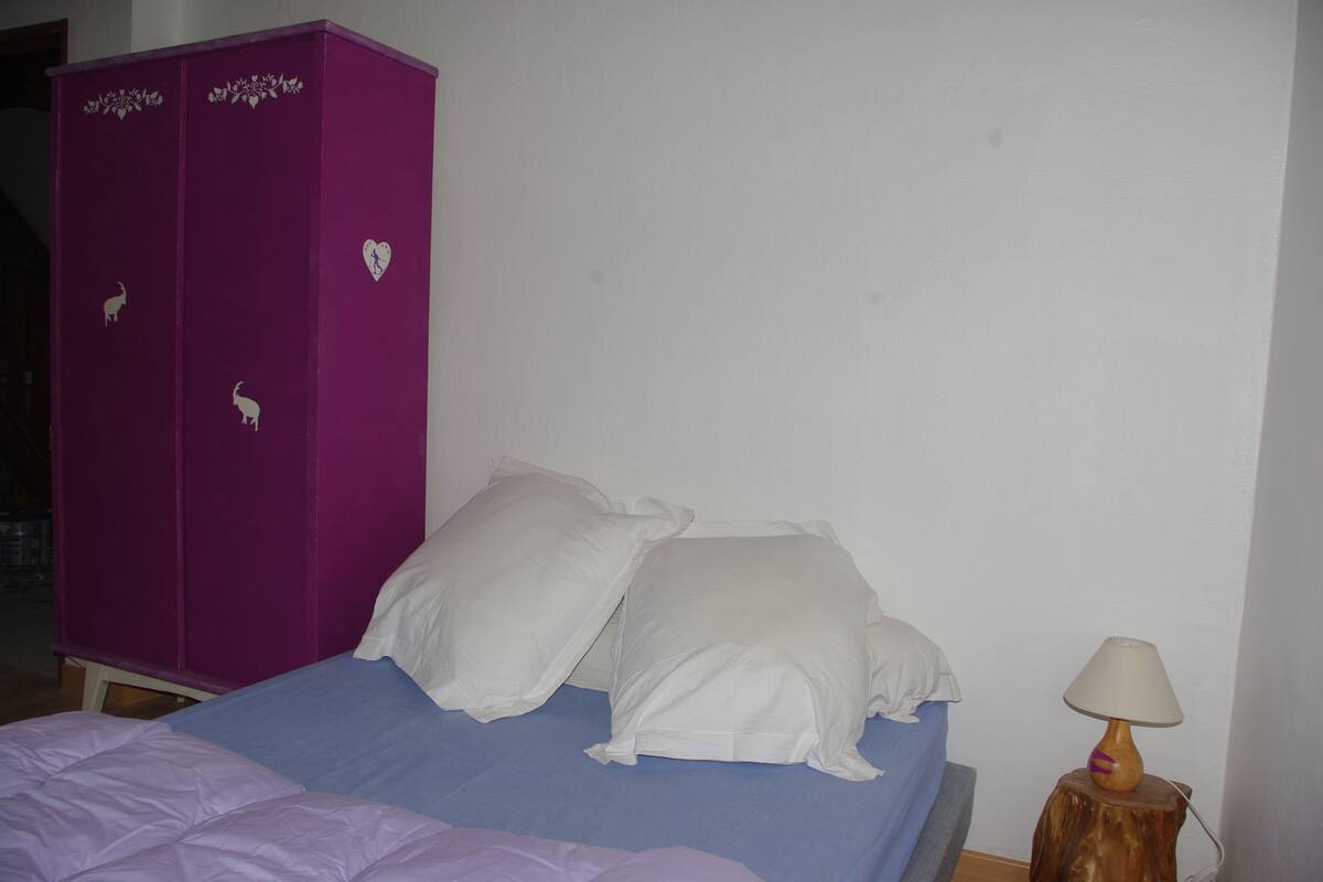 Basic Double or Twin Room, Mountain View (Bouquetin) | Free WiFi