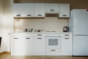 Fridge, oven, stovetop, electric kettle