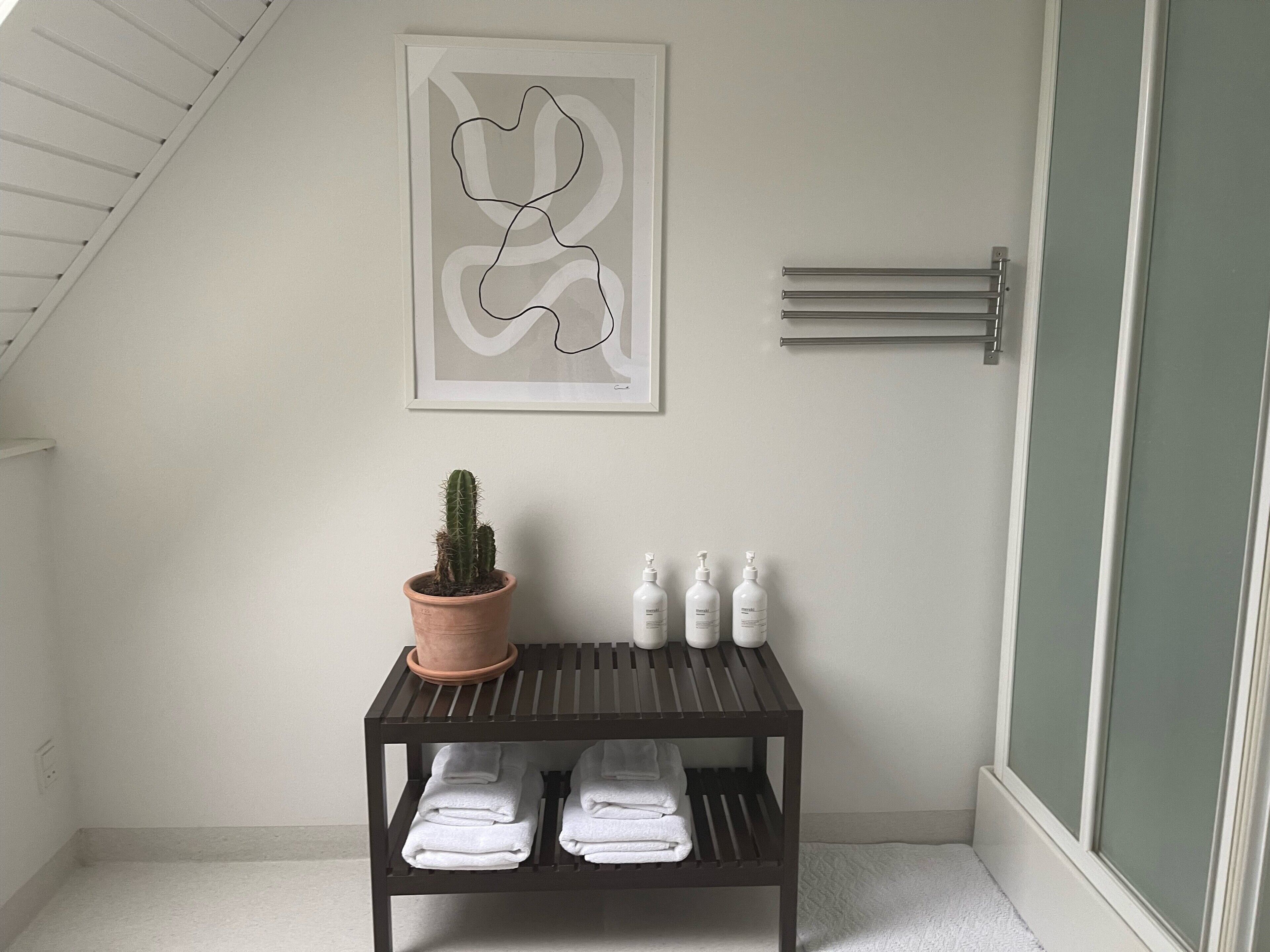 Een badkamer met een plafondventilator, een lijst met abstract kunstwerk, een potkaktus, en een plank met handdoeken en toiletartikelen.