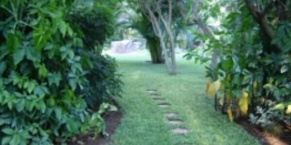 Un sentier qui traverse un jardin planté d’arbres et d’arbustes.