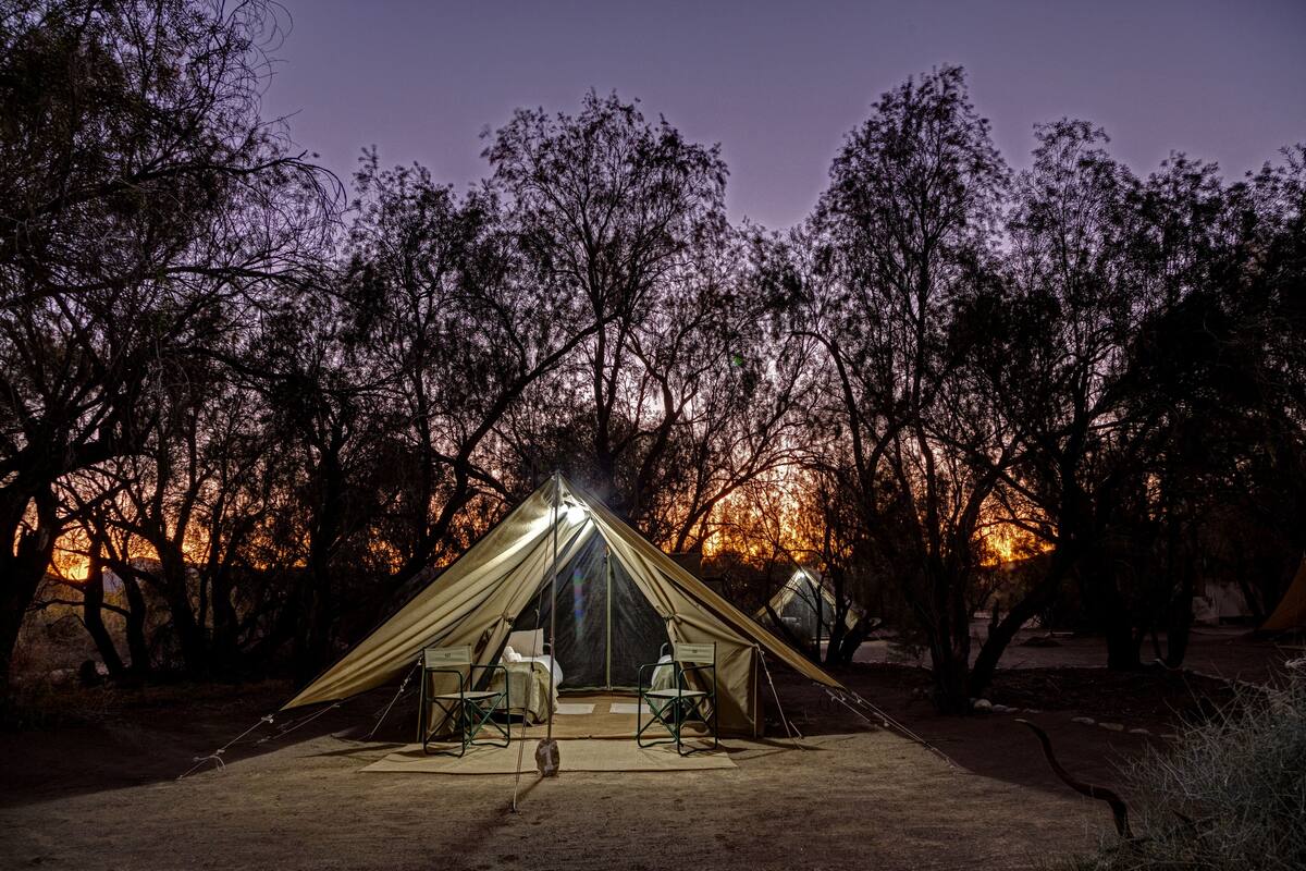 Una carpa grande y abierta con una mesa y sillas en el centro, rodeada de árboles.