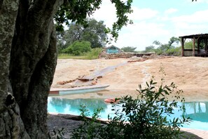 Outdoor pool - Tented Adventures Pretoriuskop Rest Camp (Mbombela)
