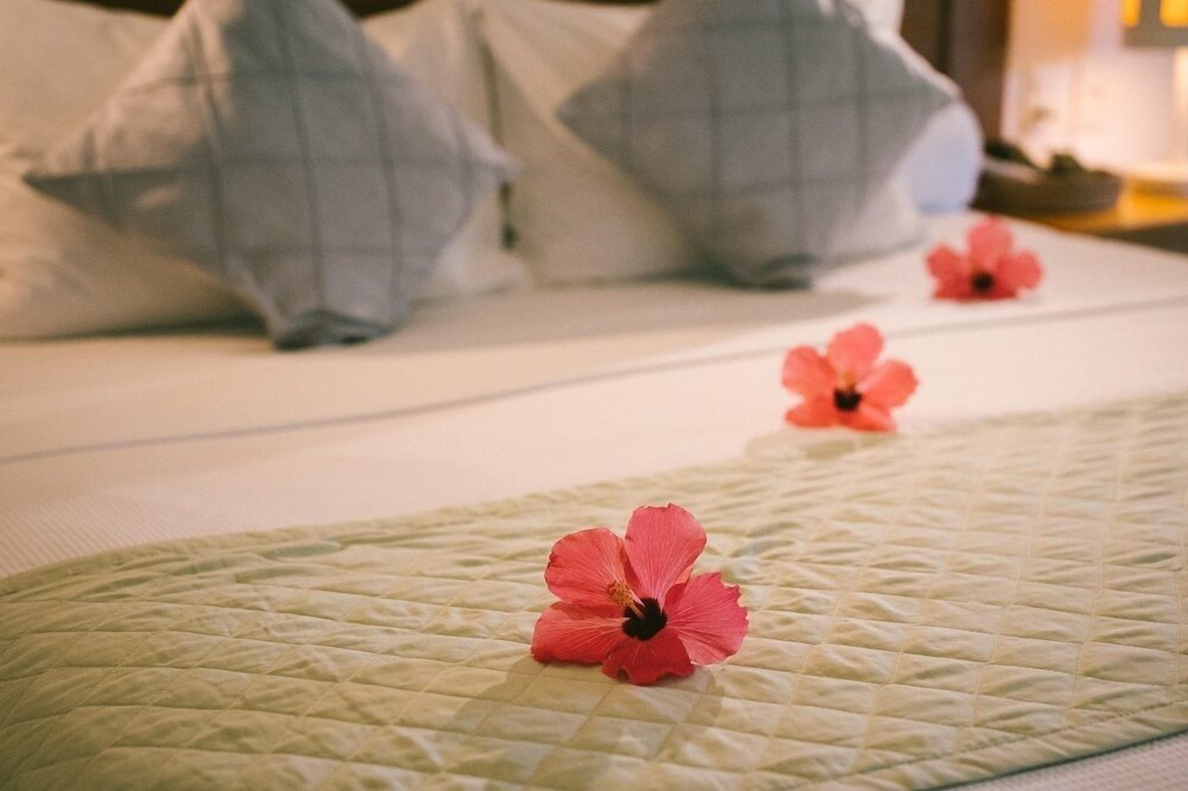 triple room | 1 bedroom, minibar, in-room safe, desk