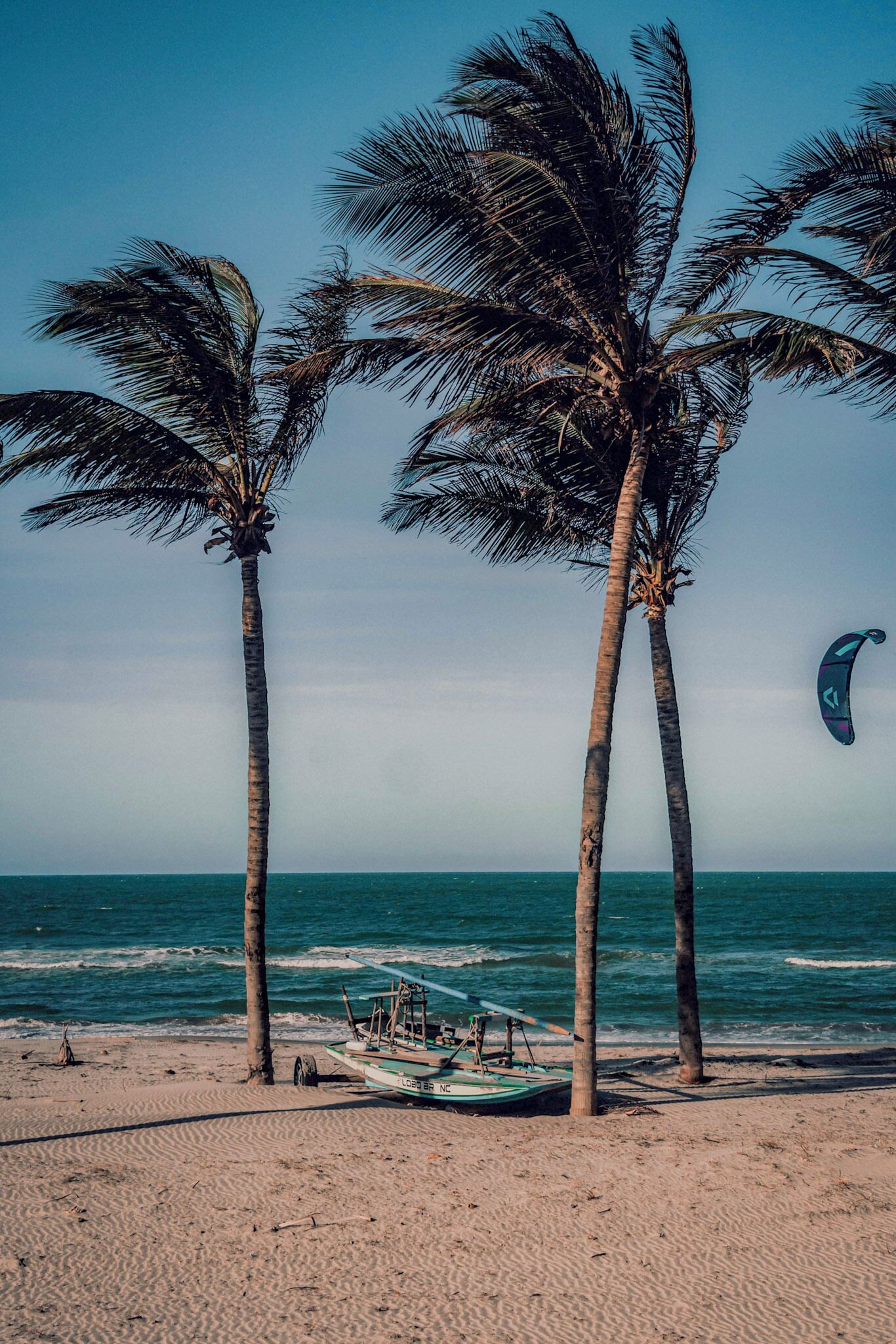 Uma praia com palmeiras e um barco na areia.