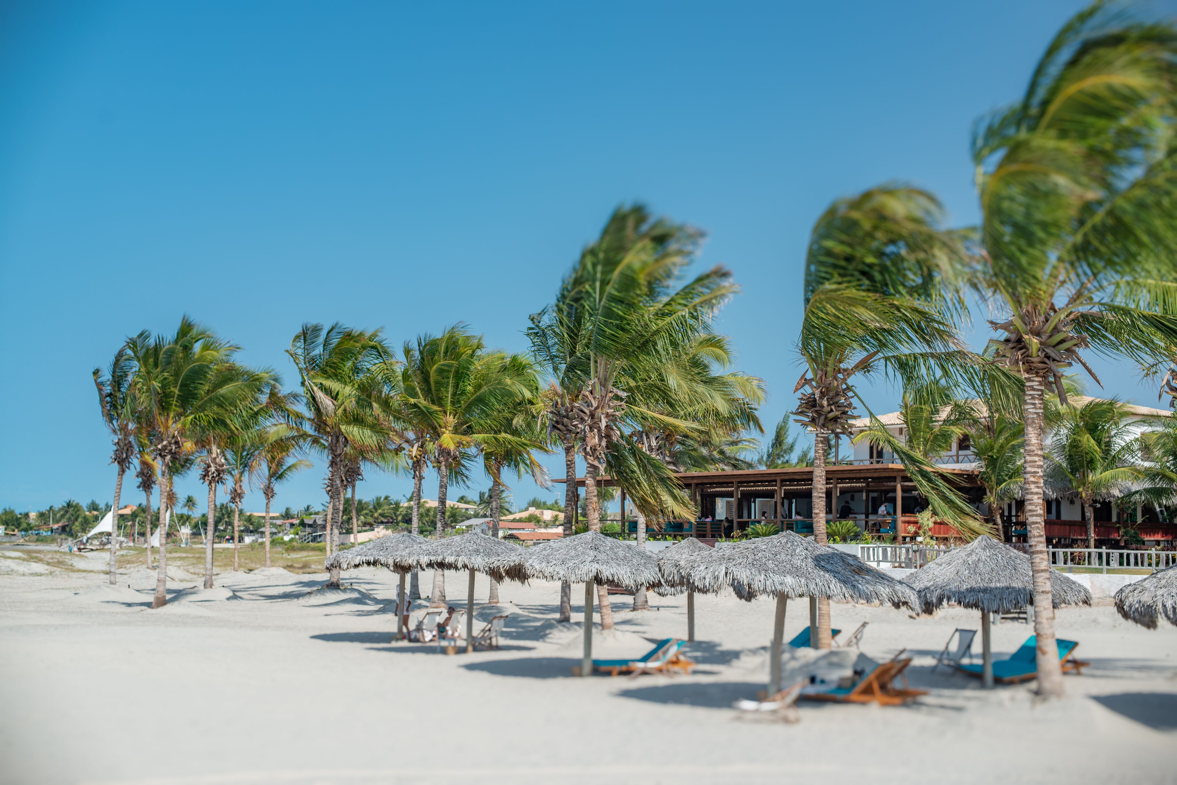 Une plage avec des parasols en chaume, des palmiers et un bâtiment en arrière-plan.