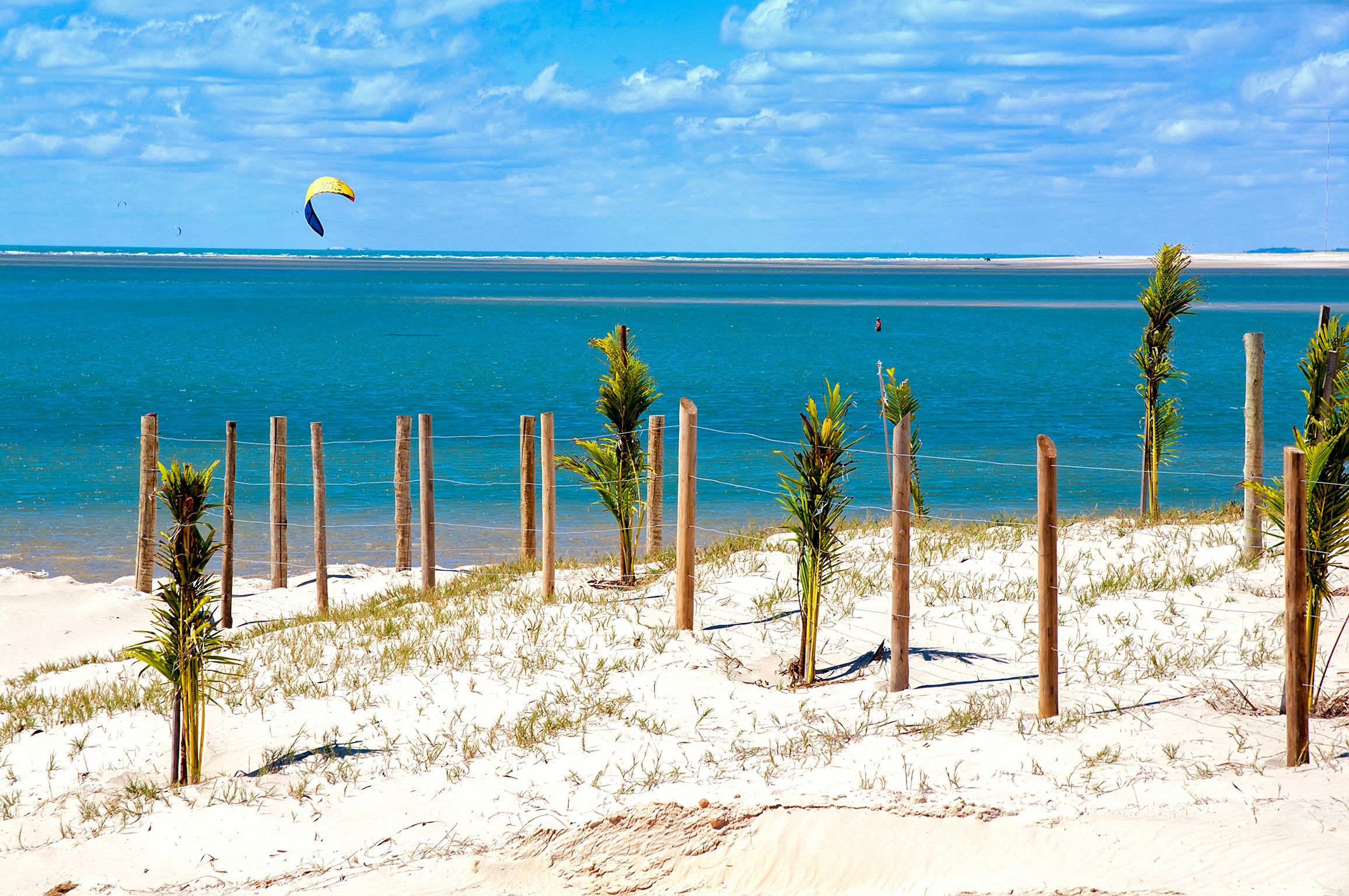 A beach with a wooden fence, palm trees, and a clear blue sky.