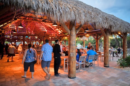 Lunch and dinner served