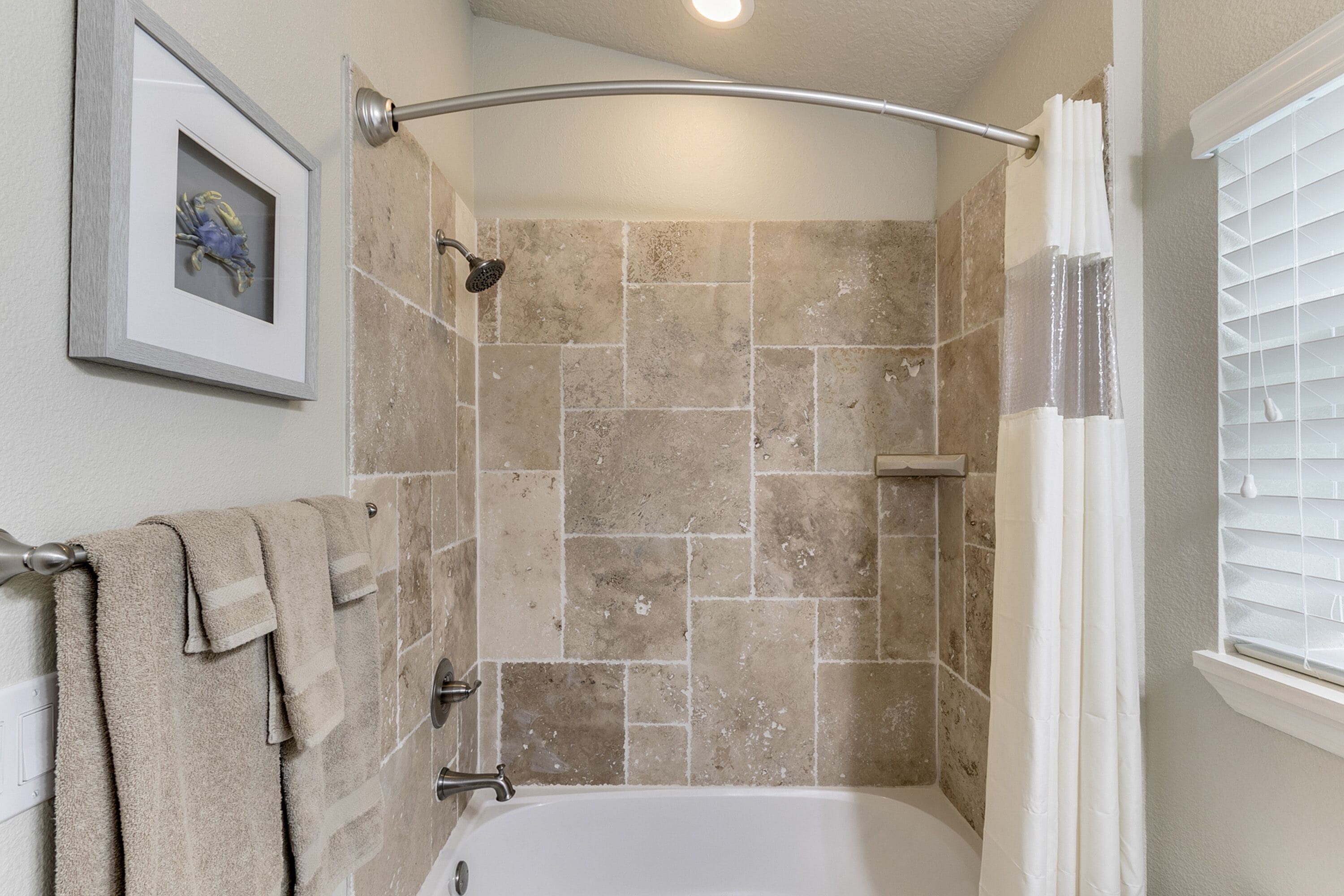 Une salle de bain avec une baignoire, une douche et un tableau encadré au mur.