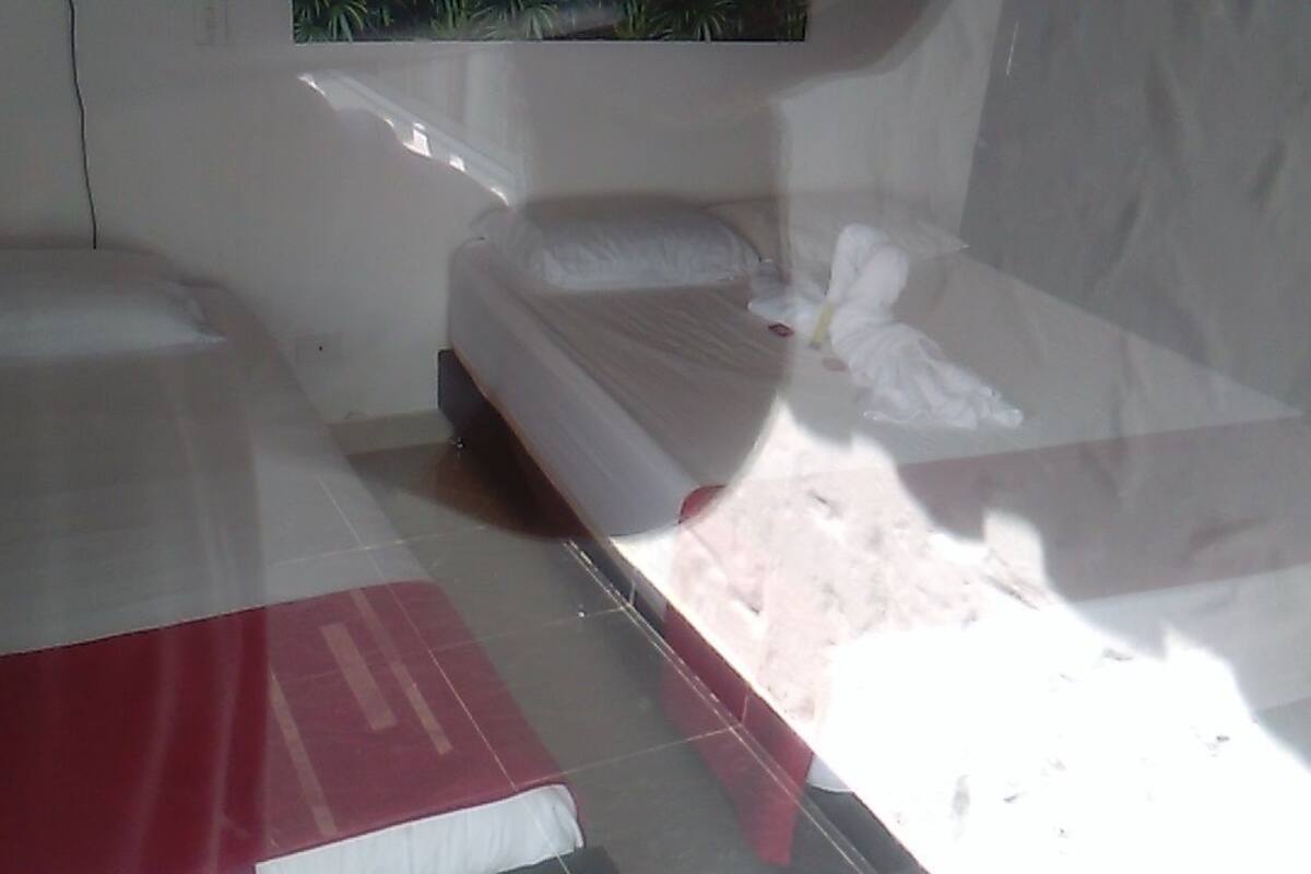 Two single beds with white linens, a red and white striped rug, and a small window with a view of greenery.