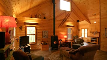 Smart TV, chimenea, reproductor de DVD y libros