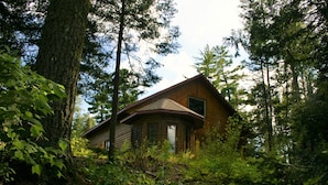 A cabin surrounded by dense forest, with a sloped roof and a window visible on the side.