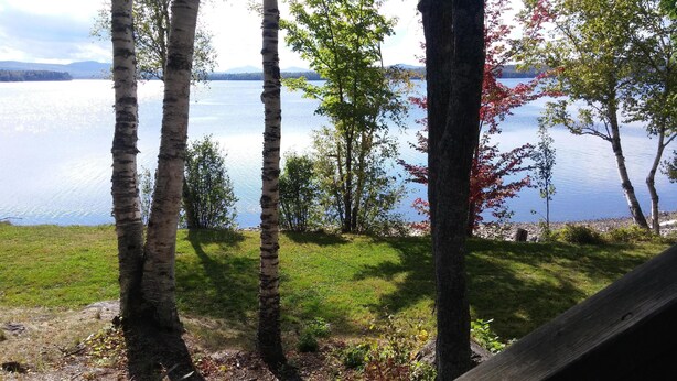 Blick auf einen See mit Birken und einer Rasenfläche.