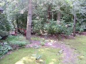 Property grounds - Cozy mountain cabin bordering national forest (Candler)