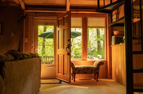 Cozy mountain cabin bordering national forest