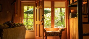 Cozy mountain cabin bordering national forest