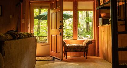 Cozy mountain cabin bordering national forest