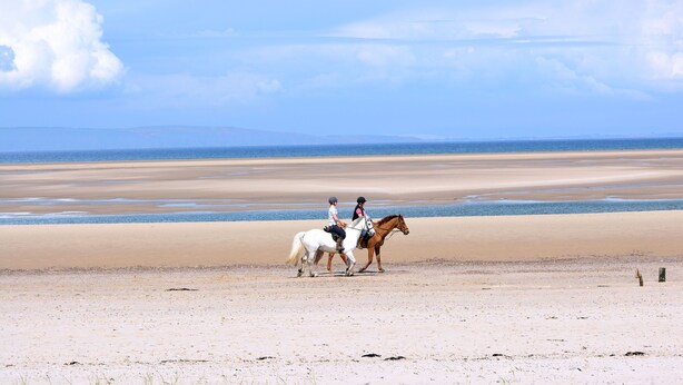 A beach with horses and riders.